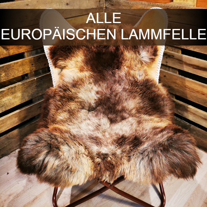 ALLE EUROPÄISCHEN